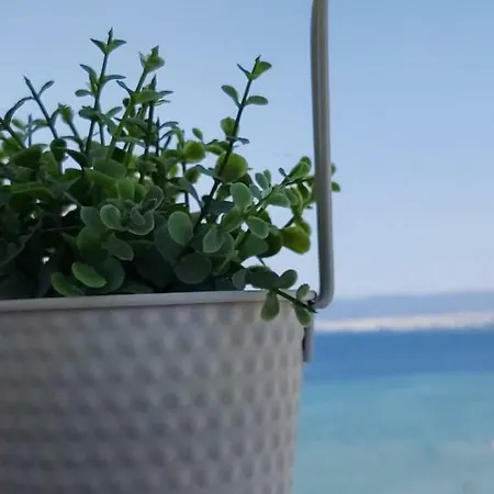 Sea View Perea Apartment Peraia (Thessaloniki)